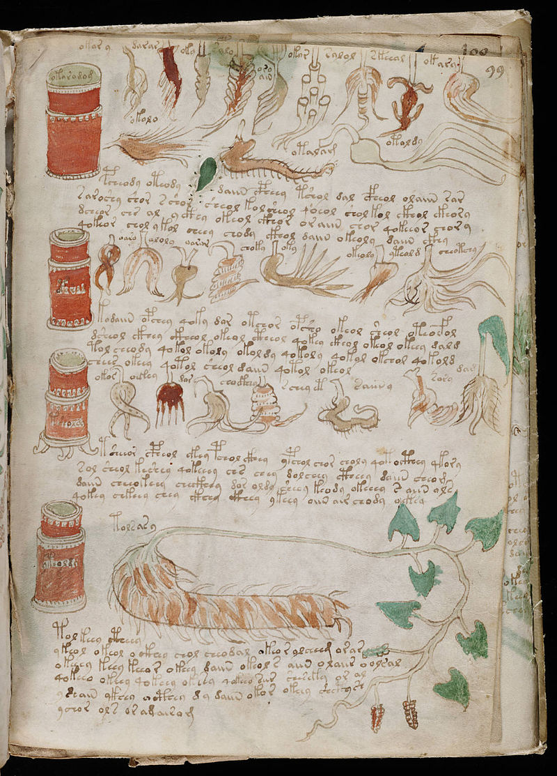 800px-Voynich_Manuscript_%28175%29.jpg