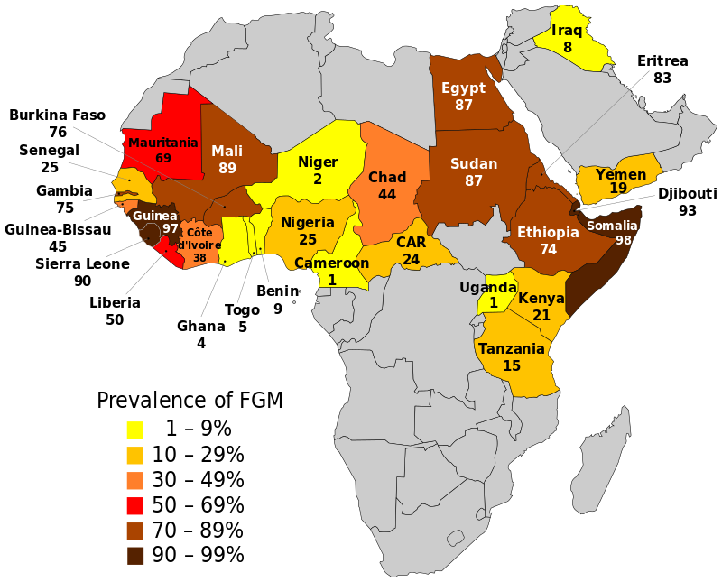 800px-FGM_prevalence_UNICEF_2016.svg.png