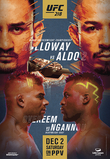 UFC_218_event_poster.jpg