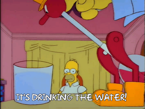 drinking-the-water.gif