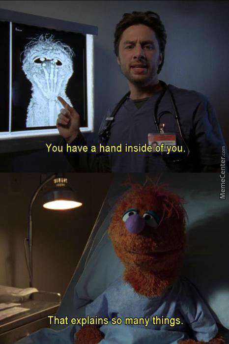 Funny-Puppet-Meme-You-Have-A-Hand-Inside-Of-You-Picture.jpg