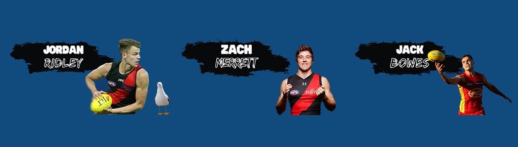 www.bigfooty.com