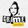 www.crime-analyst.com