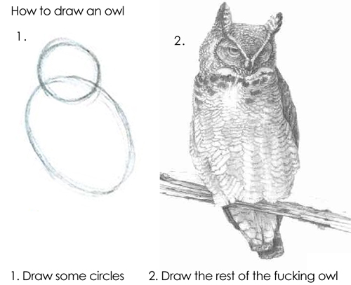 How_to_draw_an_owl.jpg