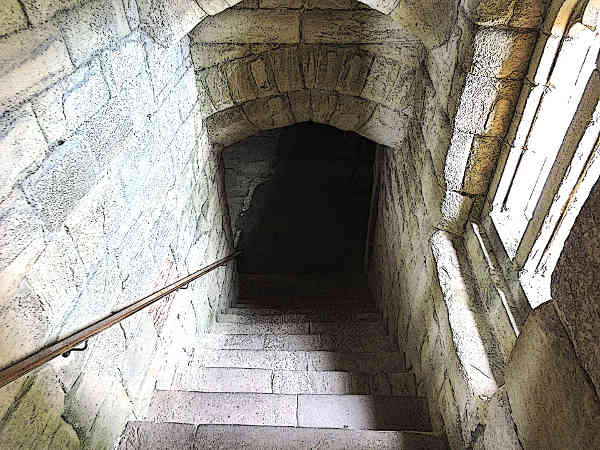 Skull-found-in-medieval-castle-dungeons.jpg