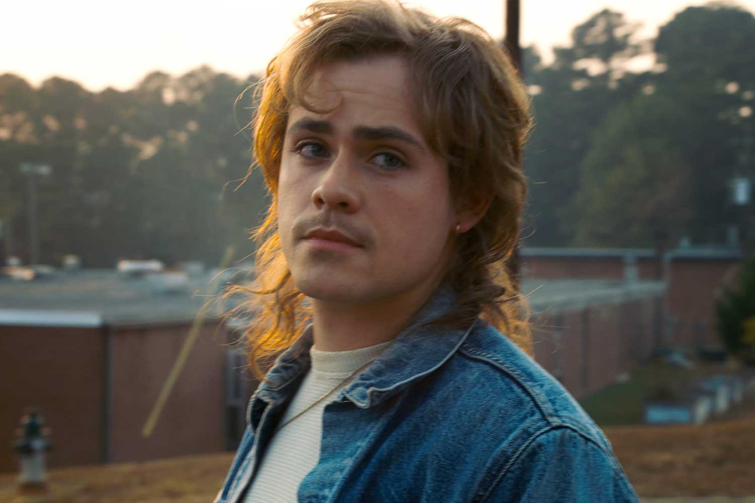 stranger-things-mullet.jpg