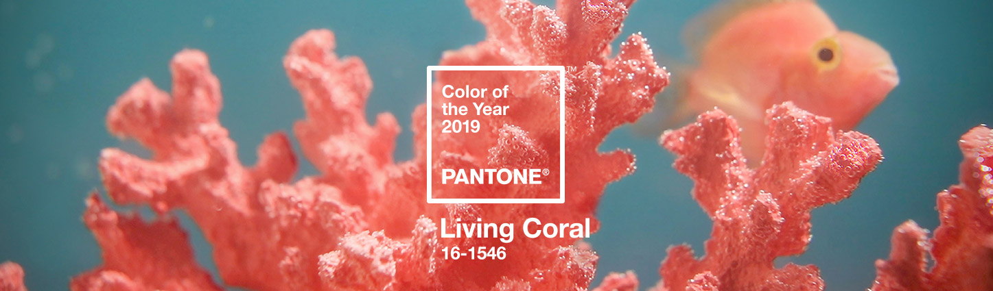 pantone-color-of-the-year-2019-living-coral-banner.jpg