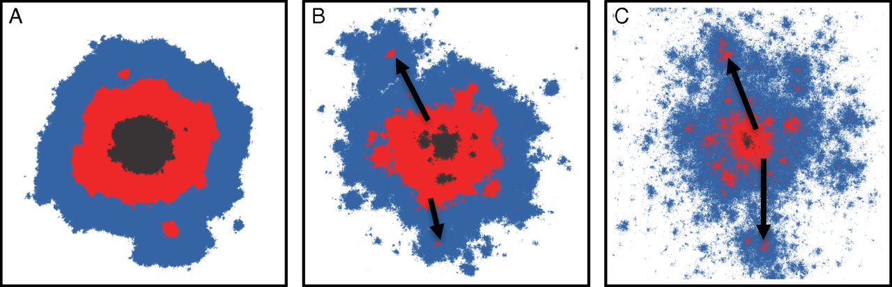 www.pnas.org