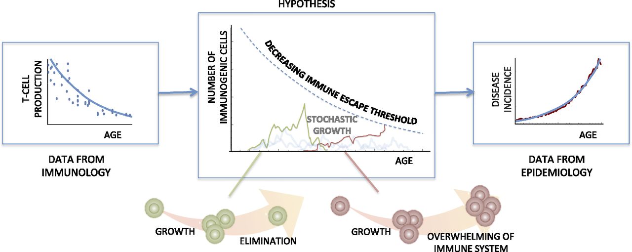 www.pnas.org