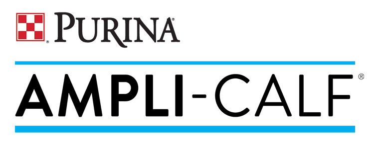 AMPLI-Calf-Logo3.png