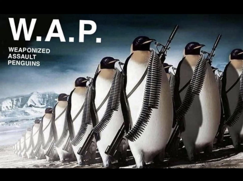 wap-weaponized-assault-penguins-meme.jpg