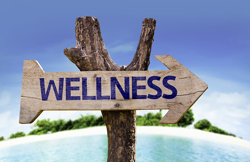 Wellness-Image-for-Wordpress.jpg