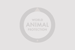 www.worldanimalprotection.org.nz