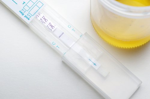 www.yourdrugtesting.com