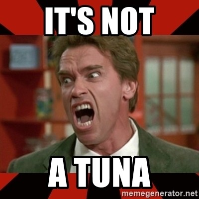 It's NOT A tuna - Arnold Schwarzenegger 1 | Meme Generator